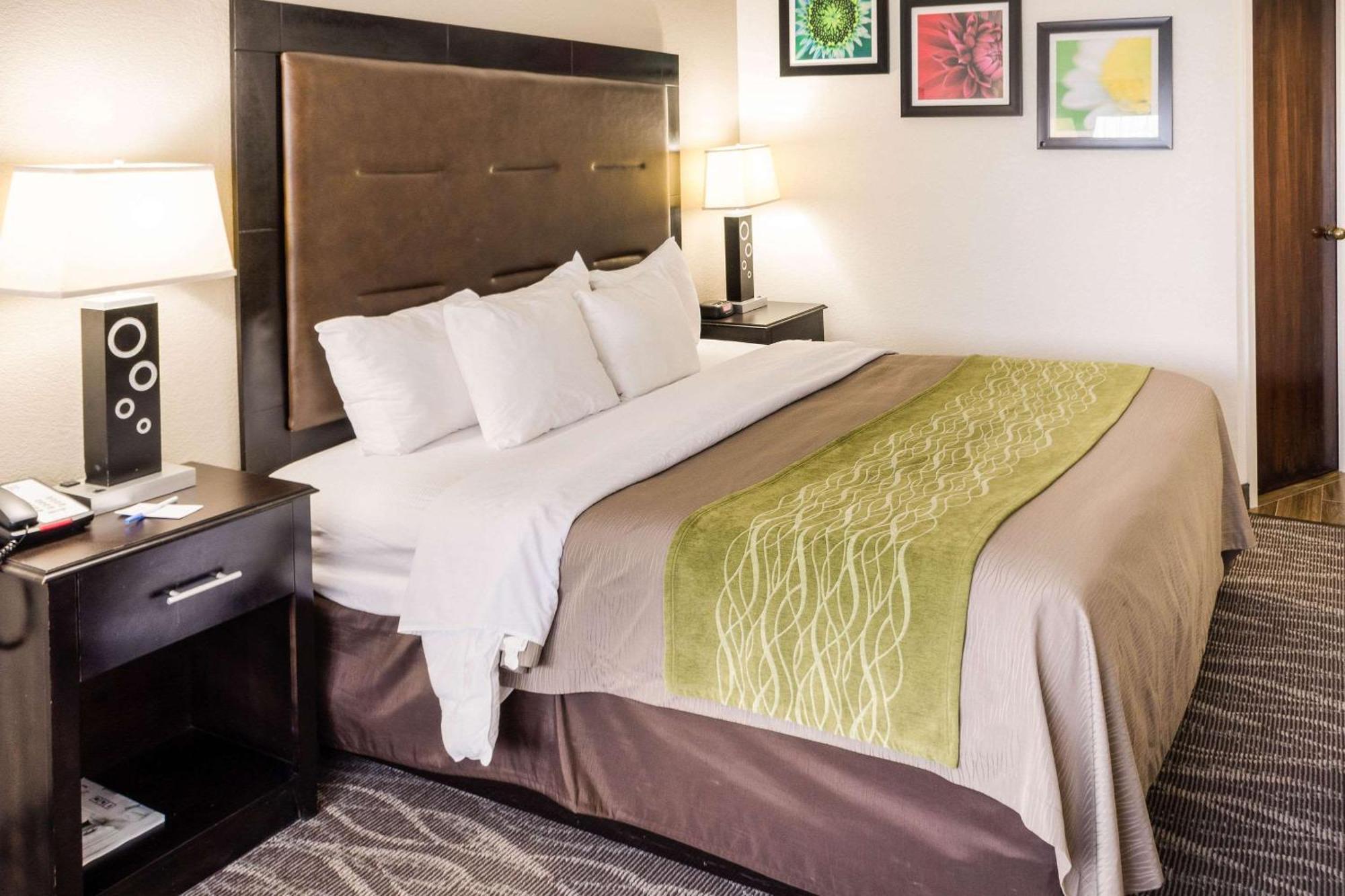 Comfort Inn Downtown Charleston Kültér fotó